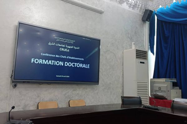 conference-reg-setif-univ-20-avril-128FE922E-307C-F234-C761-D5125756355A.jpg